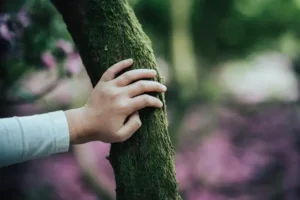 abrazar-arbol